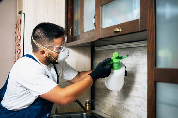 Best Pest Removal Services  in North Falmouth, MA