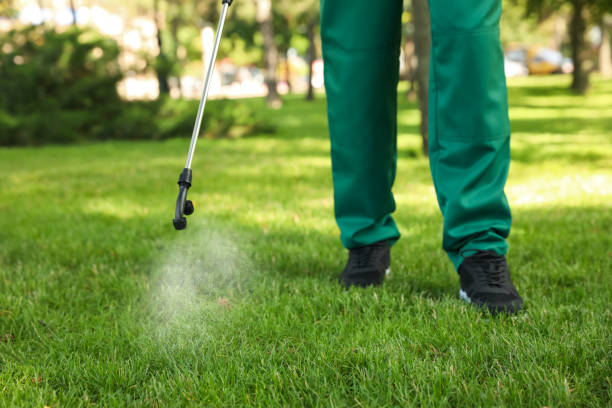 Best Wasp Removal Services  in North Falmouth, MA