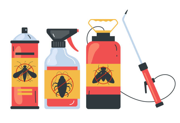 Insect Control in North Falmouth, MA